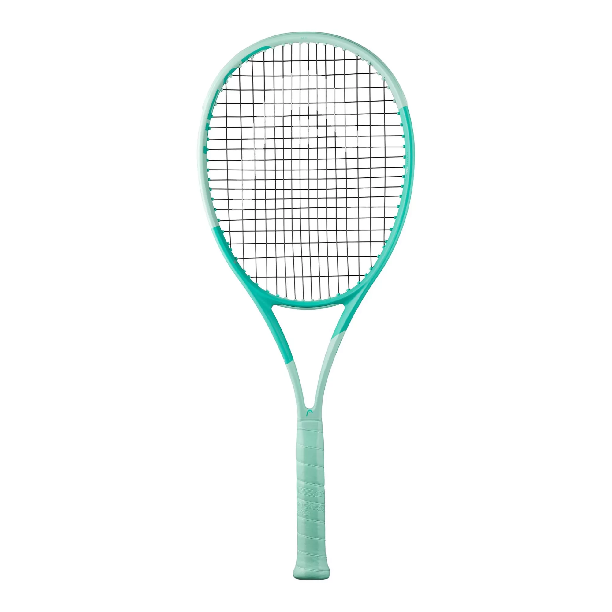 Boom MP 2024 Alternate>HEAD Online
