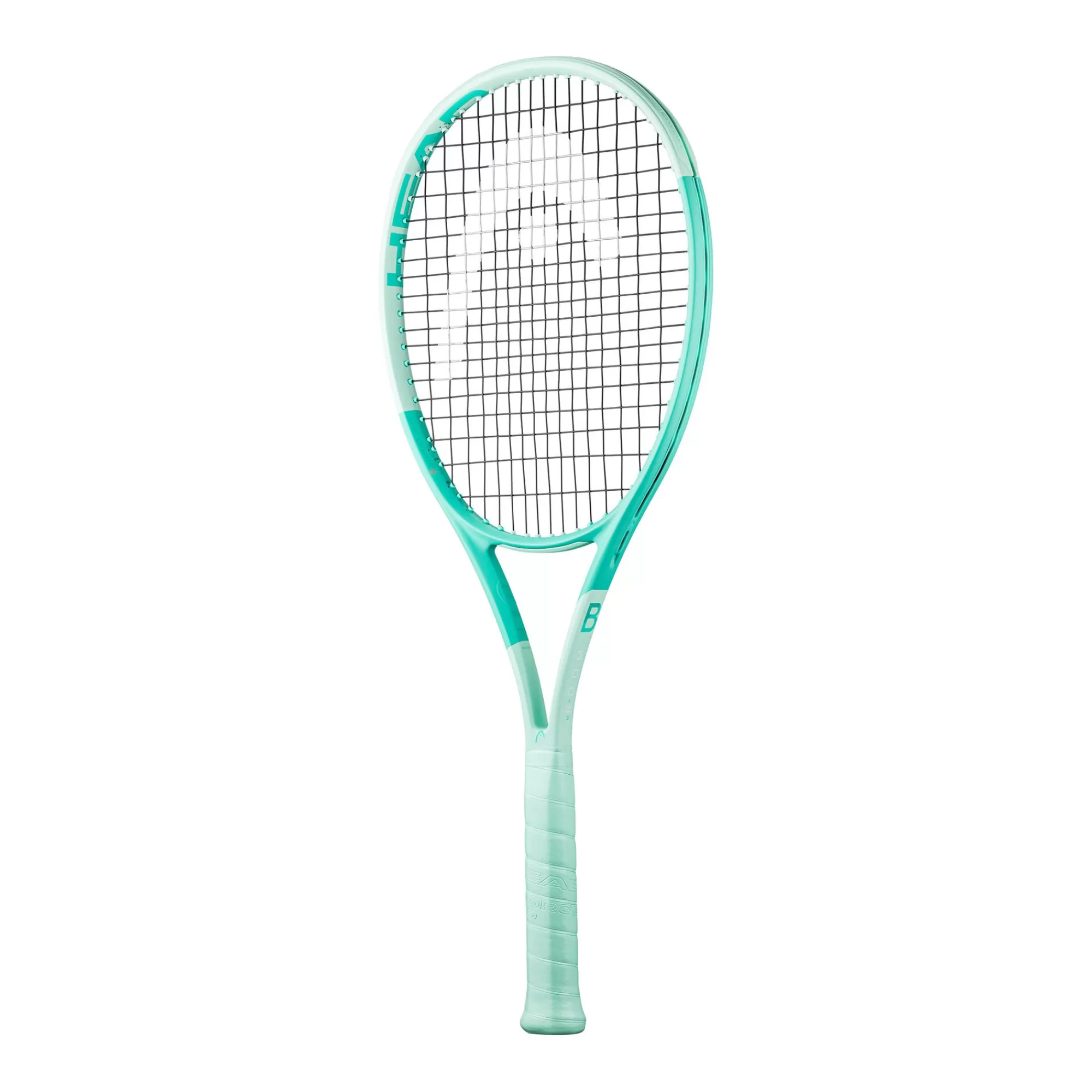Boom MP 2024 Alternate>HEAD Online